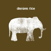 Damien Rice - Cannonball