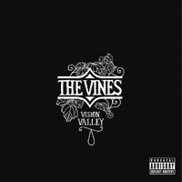 The Vines - Vision Valley (Explicit)