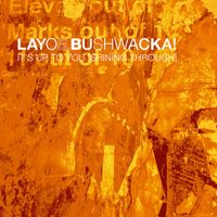 Layo & Bushwacka! - It's Up to You (Shining Through)
