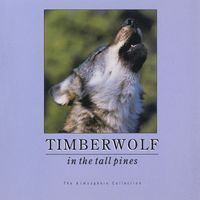 Atmosphere Collection - Timberwolf In Tall Pines