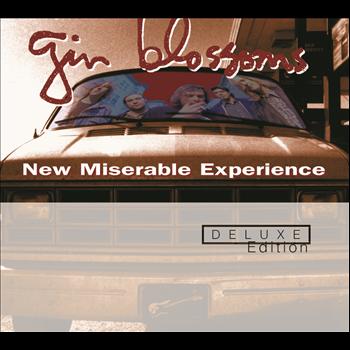 Gin Blossoms - New Miserable Experience
