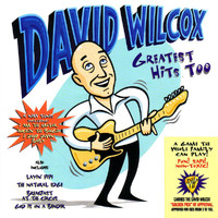 David Wilcox - Greatest Hits Too