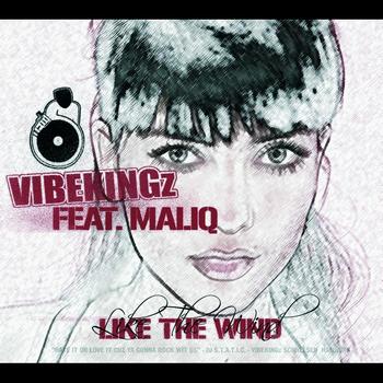 Vibekingz - Like The Wind