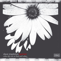 Dave Stapleton Quintet - When Life Was In Black and White