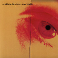 Various Artists - Alanis Morissette - A Tribute To Alanis Morissette