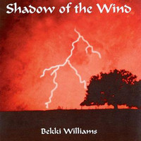 Bekki Williams - Shadow Of The Wind