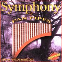 Tarahumara - Symphony Of Pan Pipes