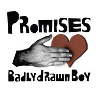 Badly Drawn Boy - Promises