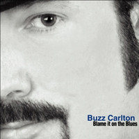 Buzz Carlton - Blame it on the Blues