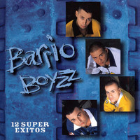Barrio Boyzz - 12 Super Exitos