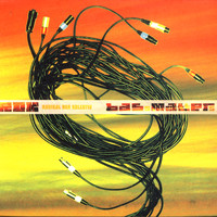 Radikal Dub Kolektiv - Bass Matters