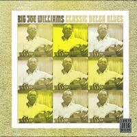 Big Joe Williams - Classic Delta Blues