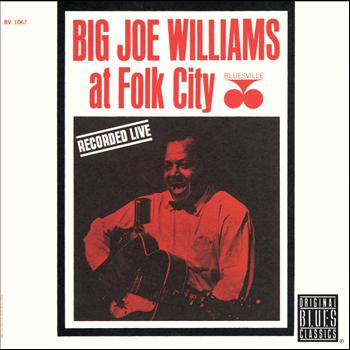 Big Joe Williams - At Folk City