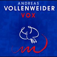 Andreas Vollenweider - VOX