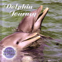 Nature's Rhythms - Dolphin Journey