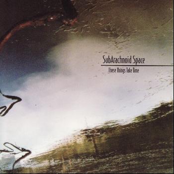 SubArachnoid Space - These Things Take Time