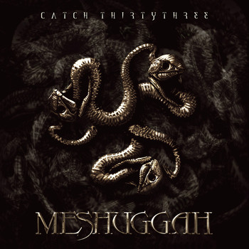 Meshuggah - Catch ThirtyThree