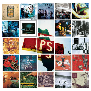 Toad The Wet Sprocket - P.S. (a Toad retrospective)