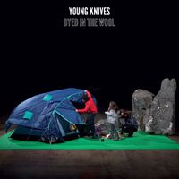 The Young Knives - Dyed In The Wool (1 track DMD)