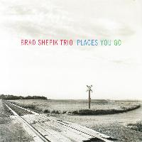 Brad Shepik - Places You Go
