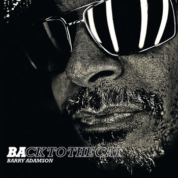 Barry Adamson - Back to the Cat