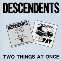 Descendents - Two Things at Once