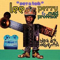 Mad Professor & Lee Perry - Black Ark ExPerryments
