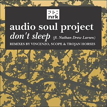Audio Soul Project feat. Nathan Drew Larsen - Don't Sleep