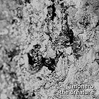 Matteo Monero - The Creature