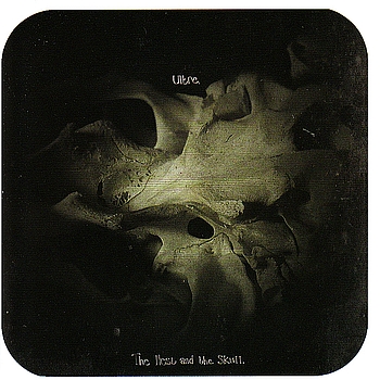 Ultre - The Nest And The Skull