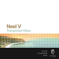 Neel V - Transported Vibes