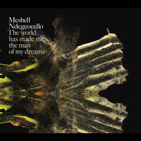 Meshell Ndegeocello - The World Has Made Me The Man Of My Dreams