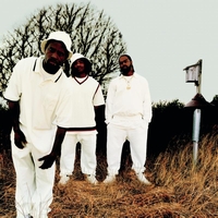 Jim Crow - Crow's Nest