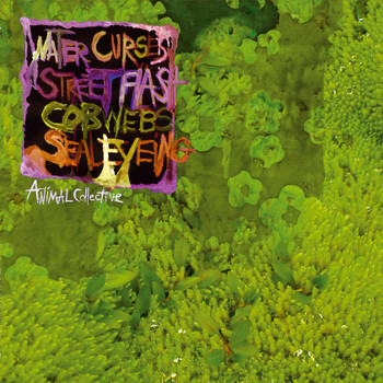Animal Collective - Water Curses