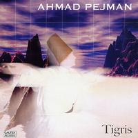 Ahmad Pejman - Tigris (Instrumental) - Persian Music