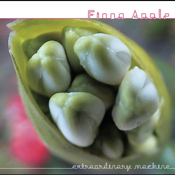 Fiona Apple - Parting Gift (Live Version)