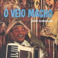 Luiz Gonzaga - Ô Véio Macho