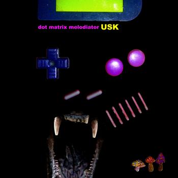 USK - Dot Matrix Melodiator