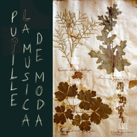 Pupille - La Música De Moda