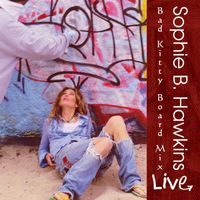 Sophie B. Hawkins - Bad Kitty Board Mix (Live)