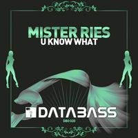 Mister Ries - U Know What