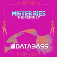 Mister Ries - The Remix EP
