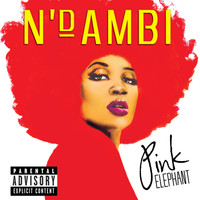 N'Dambi - Pink Elephant (Explicit)