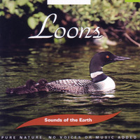 Sounds Of The Earth - Loons