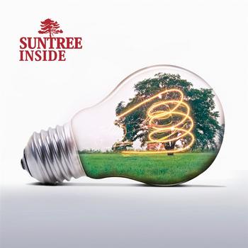 Suntree - Inside