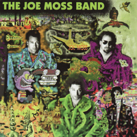Joe Moss - The Joe Moss Band