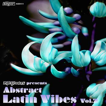 Various Artists - Abstract Latin Vibes Vol. 2