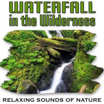 Relaxing Sounds of Nature - Waterfall in the Wilderness (Nature Sounds)