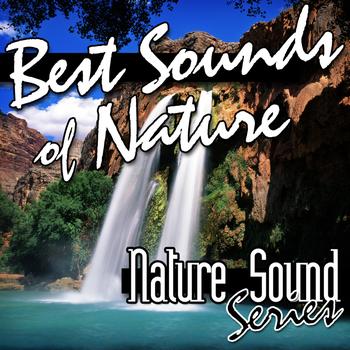 Nature Sound Series - Best Sounds of Nature