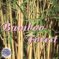 Nature's Rhythms - Nature's Rhythms - Bamboo Forest